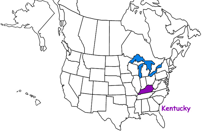 Kentucky Habitats Mammals Birds Amphibians Reptiles