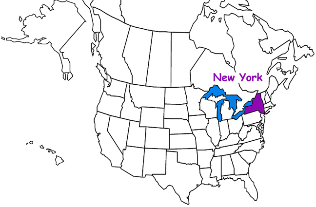 New York map
