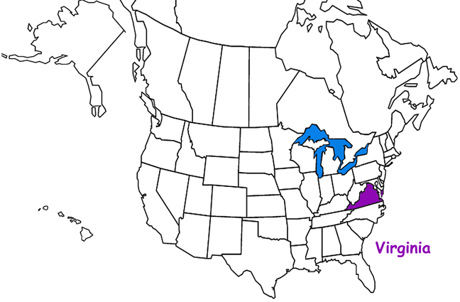 Virginia