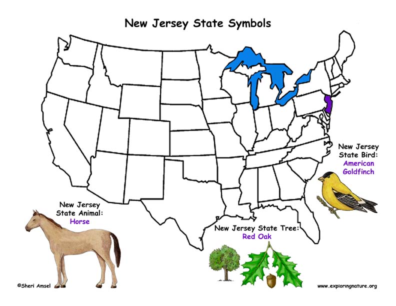 New Jersey Habitats, Mammals, Birds, Amphibians, Reptiles