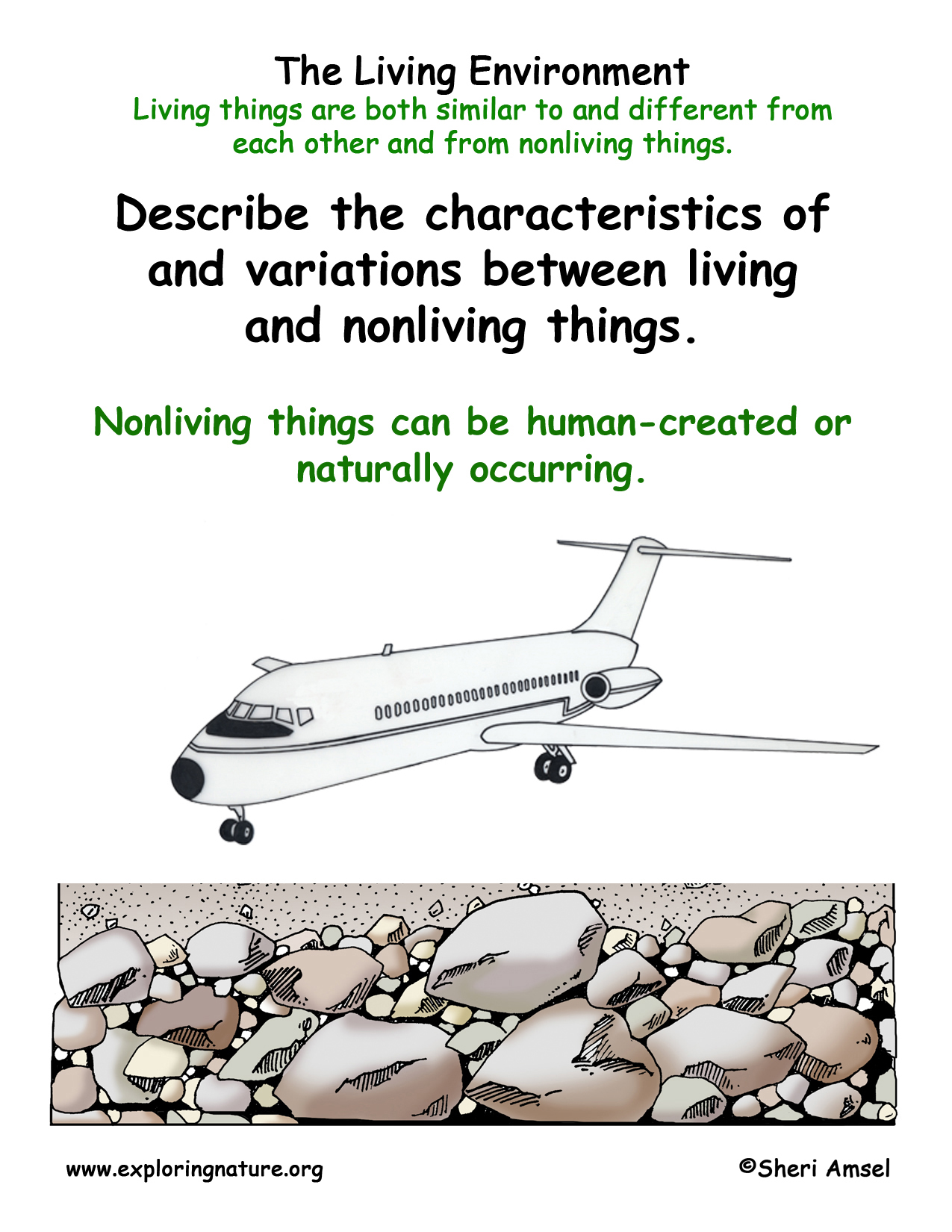 Living Environment: Nonliving Things Man-Made or Natural