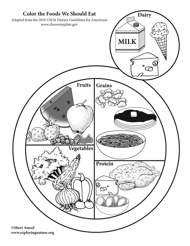 Healthy vs Unhealthy food choices worksheet. Use it as a warm up activity  while t… | Healthy and unhealthy food, Free activities for kids, Activity  sheets for kids