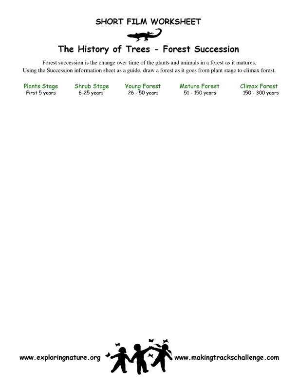 Succession in the Forest