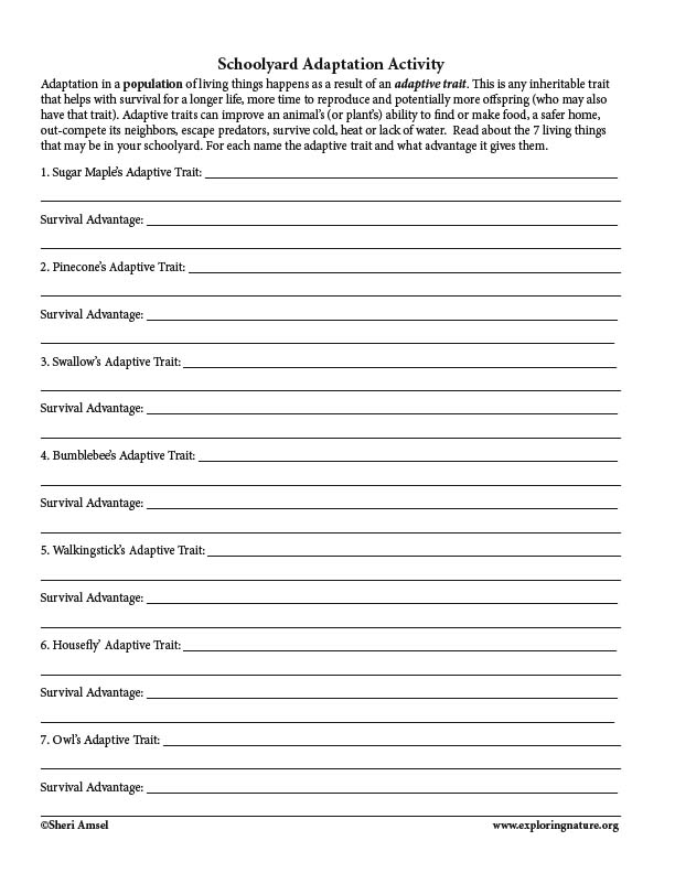 Adaptation in the Schoolyard - Read and React