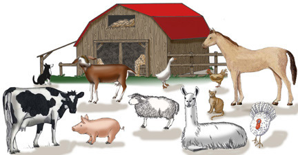 Which Animals Belongs on a Farm? Farm Animals Activities