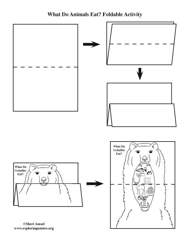 point of view foldable template