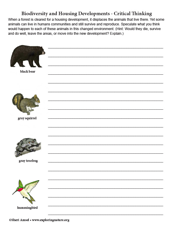 critical thinking questions on biodiversity
