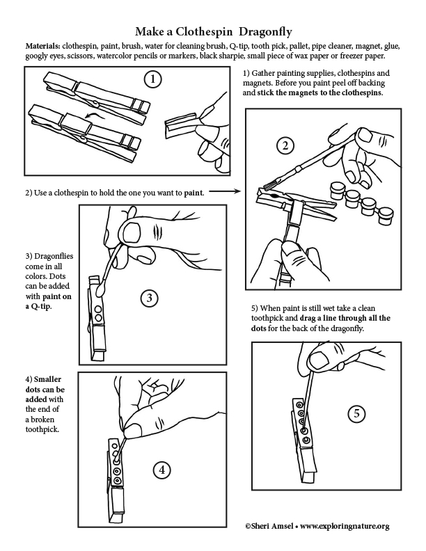 Clothespin Dragonfly - Model Making Activity