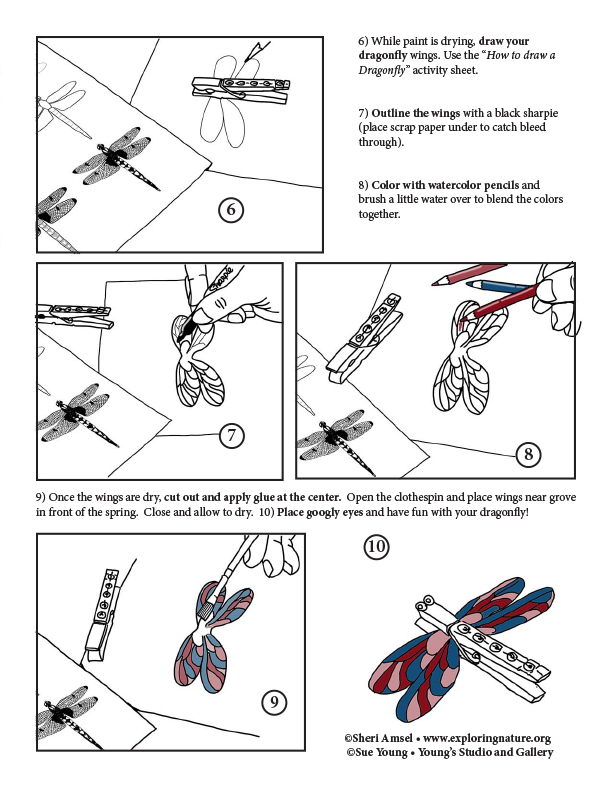 Clothespin Dragonfly - Model Making Activity