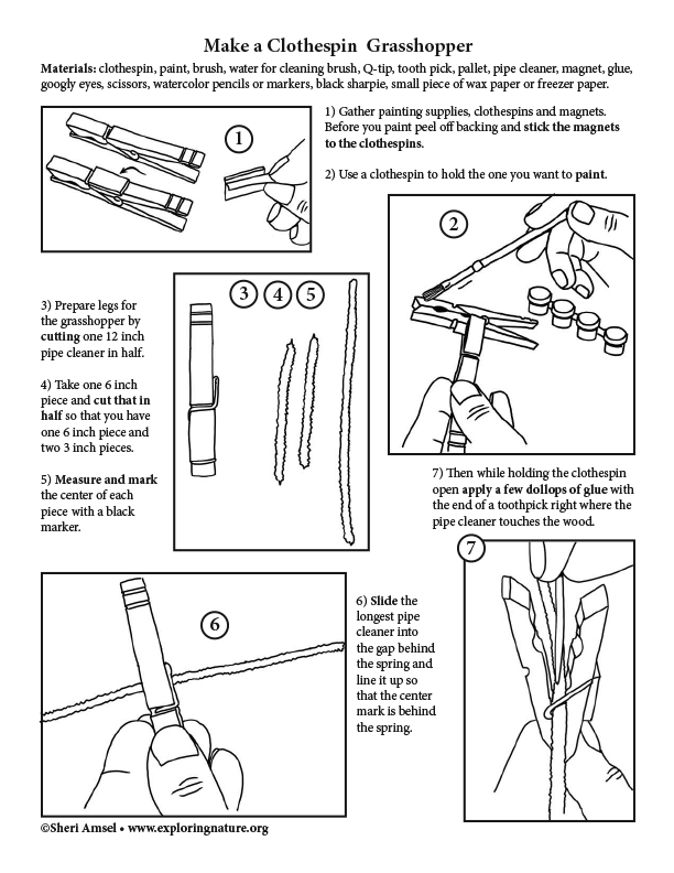 Clothespin Grasshopper - Model Making Activity