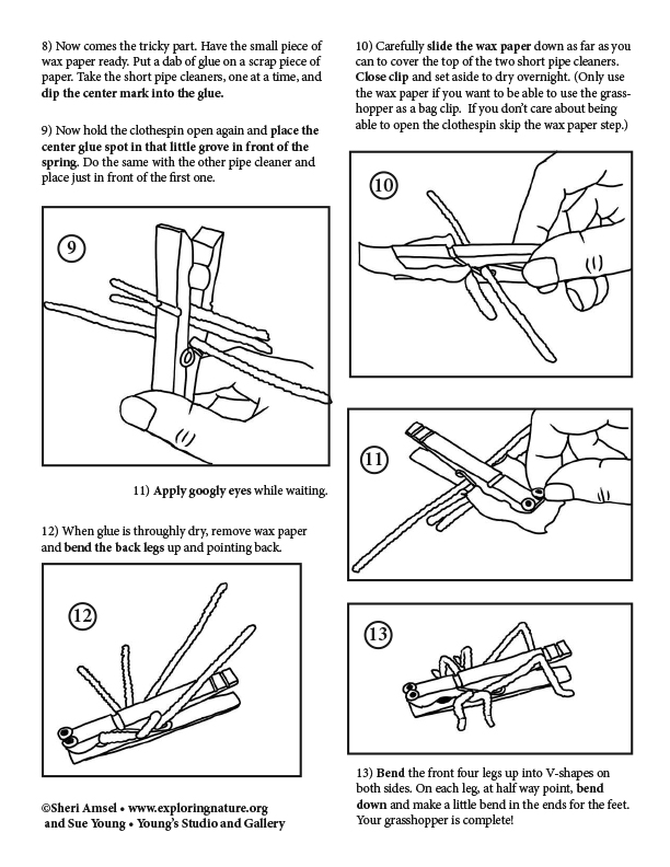 Clothespin Grasshopper - Model Making Activity