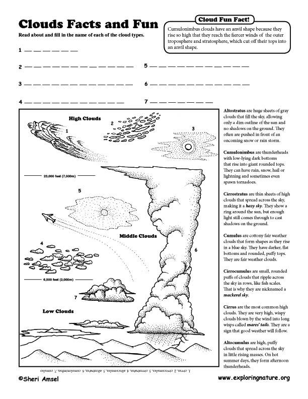 Cloud Naming and Cloud Watching Activities