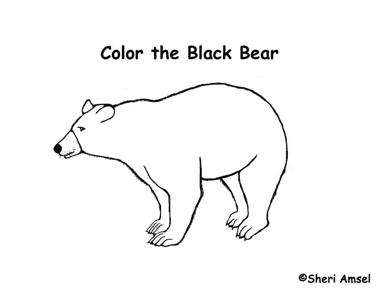 Black Bear Coloring Pages Free 7