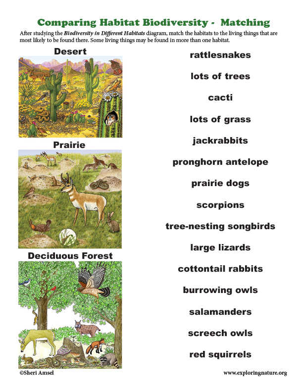 Comparing Habitat Biodiversity -  Matching