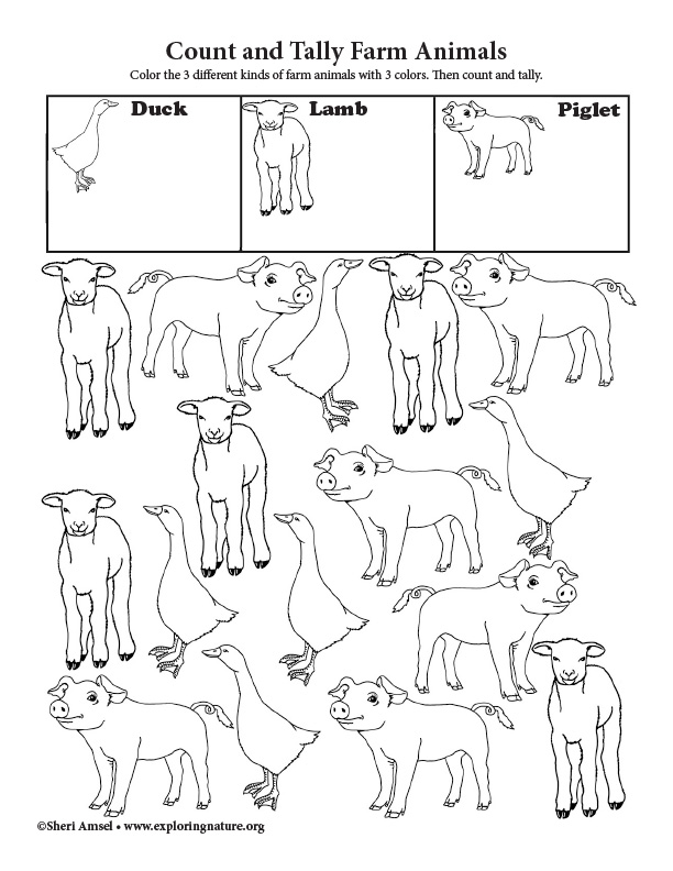 Count and Tally - Farm Animals Count and Tally - Farm Animals