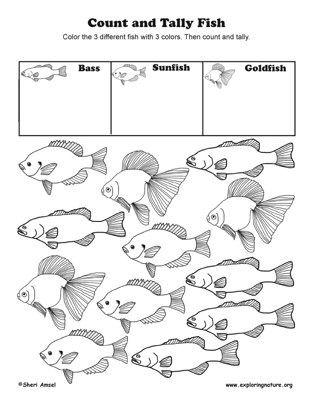 tally fish house