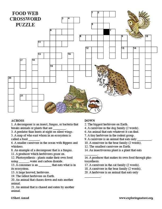 foodwebs-crossword-puzzle-middle-school-adult
