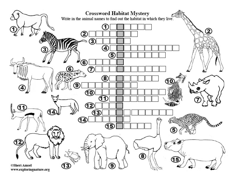 Охота где окружается зверь кроссворд. Кроссворд про животных Африки. Кроссворд про животных. Детские кроссворды про животных. Кроссворд про животных для детей.