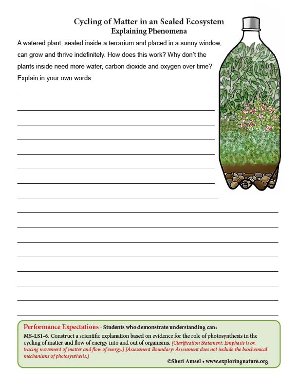 Cycling of Matter in an Sealed Ecosystem -  Explaining Phenomena Activity