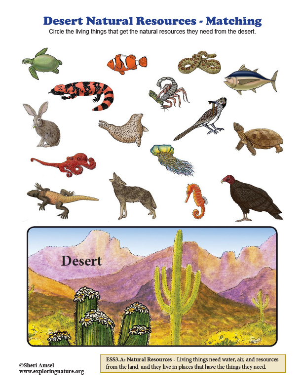 Desert Natural Resources - Matching