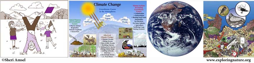 Green Issues - Staying Informed