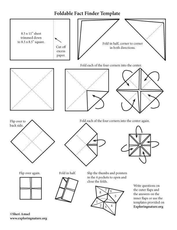 point of view foldable template