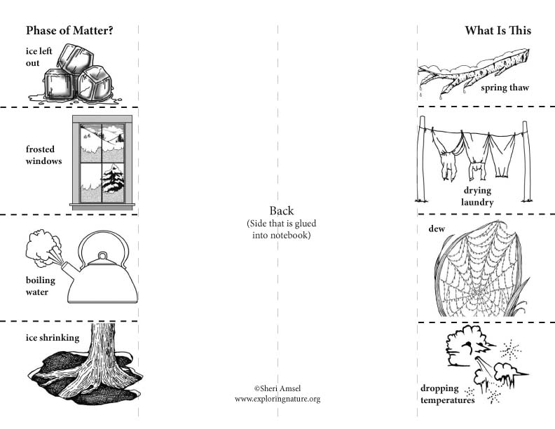Phases of Matter: Foldable Activity