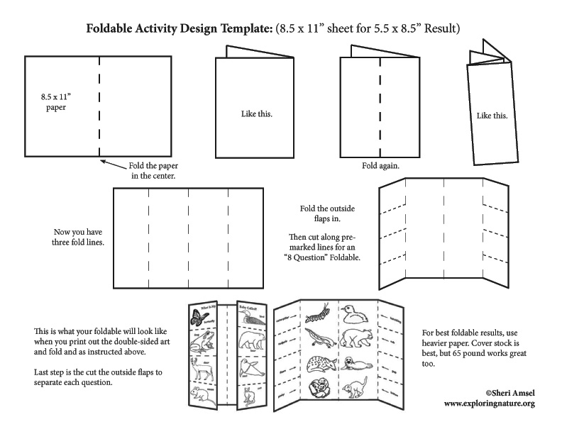foldable templates pdf
