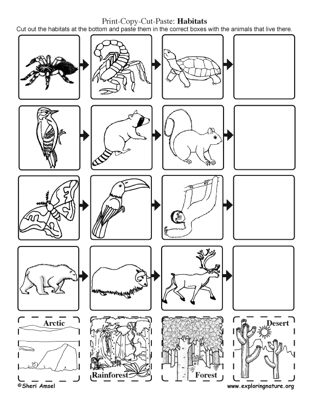 Animal Habitats: Cut and Paste