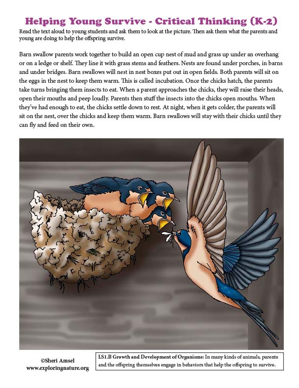 Helping Young Survive - Critical Thinking (K-2)