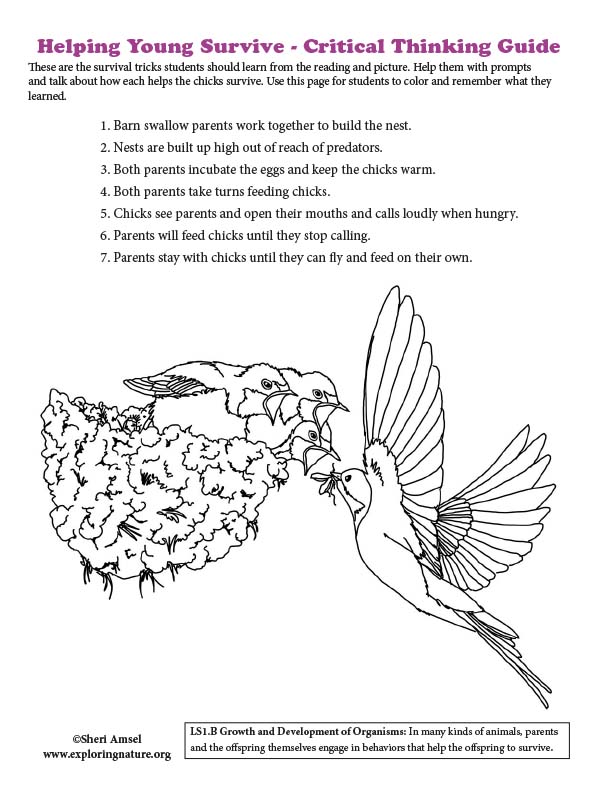 Helping Young Survive - Critical Thinking for k-2