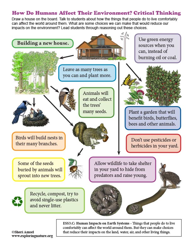 How Do Humans Affect Their Environment? Critical Thinking How Do Humans Affect Their Environment? Critical Thinking
