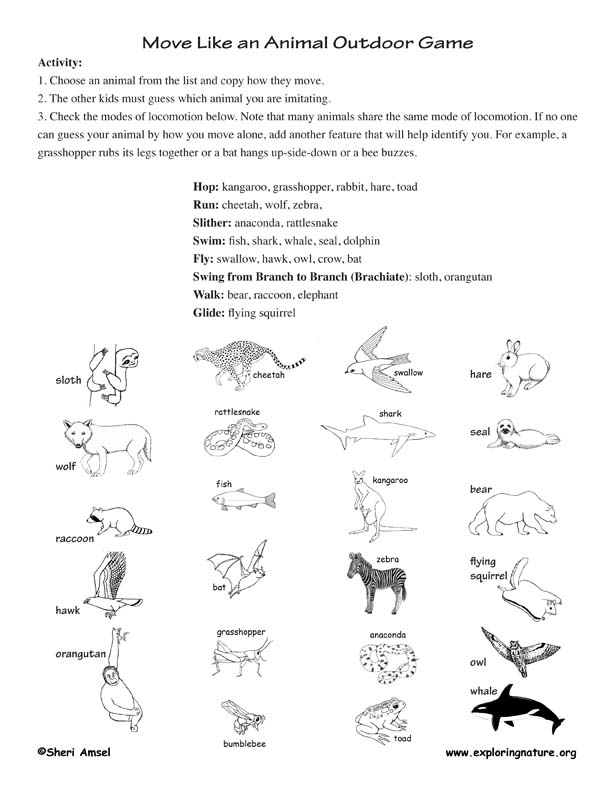 Animal Locomotion Activity - How Animals Move