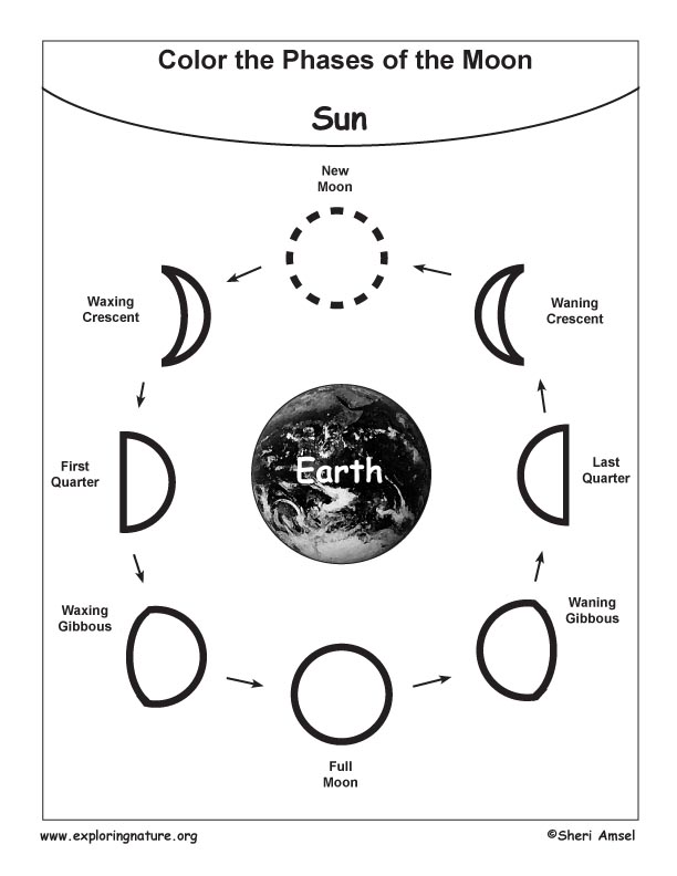 moon phases coloring pages