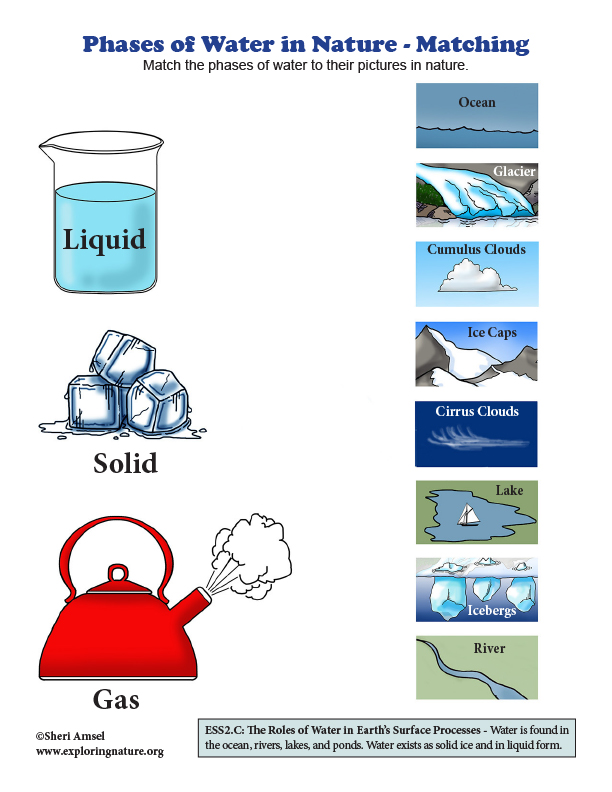 Phases of Water in Nature - Matching (Grade 2)