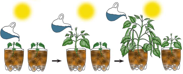 Experimental Design - Independent, Dependent, and Controlled Variables