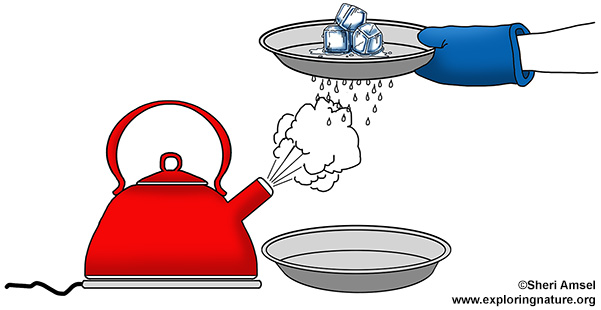 A pot of boiling water — Science Learning Hub