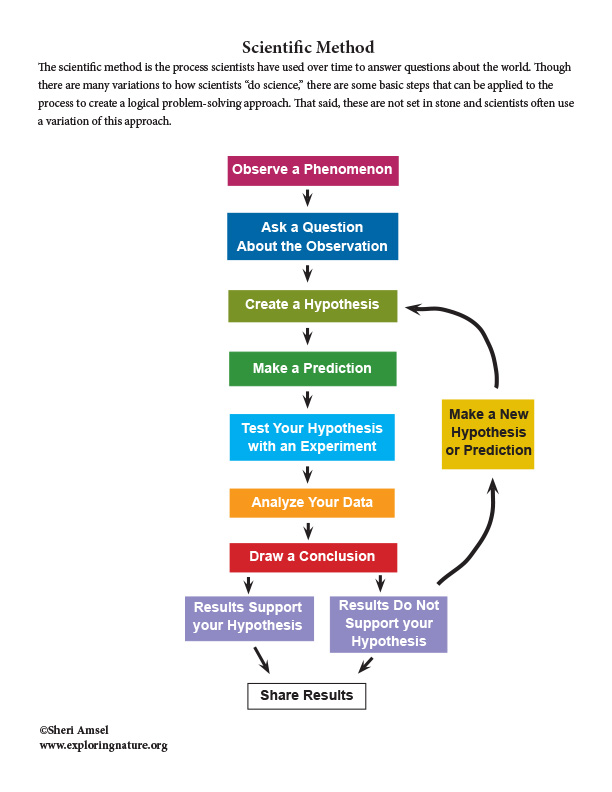 Scientific method. Theoretical Scientific method. The Scientific method ЕГЭ. The Scientific method ответы на вопросы.