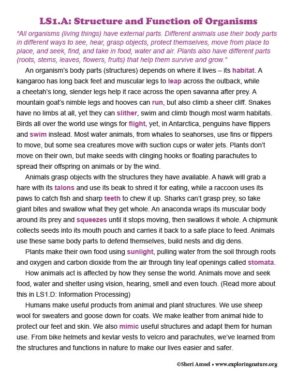 Structure and Function of Organisms  - Reading
