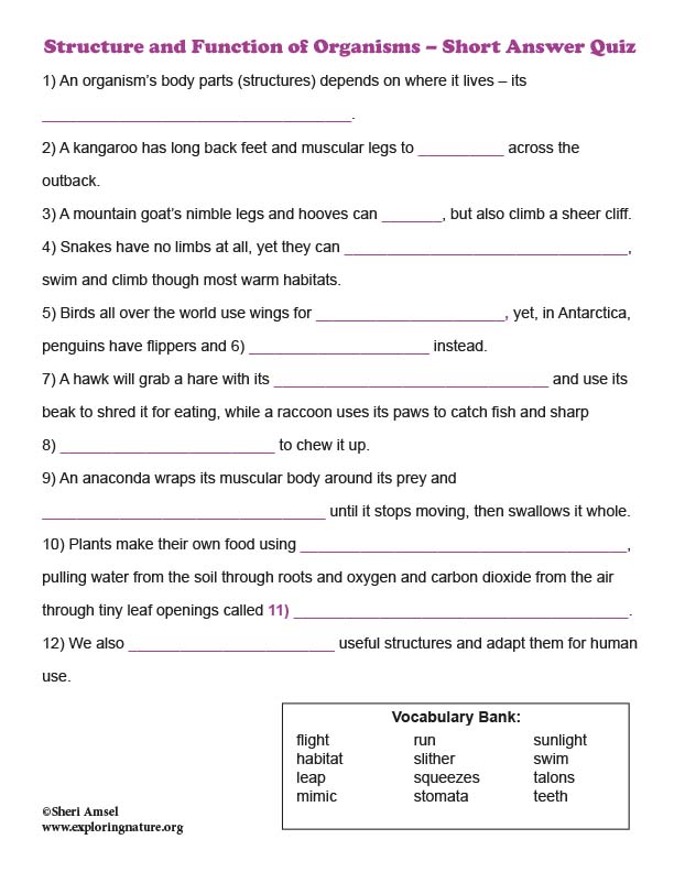 Structure and Function of Organisms – Short Answer Quiz Structure and Function of Organisms – Short Answer Quiz