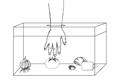 Classification Activity - Describing Characteristics by Touch
