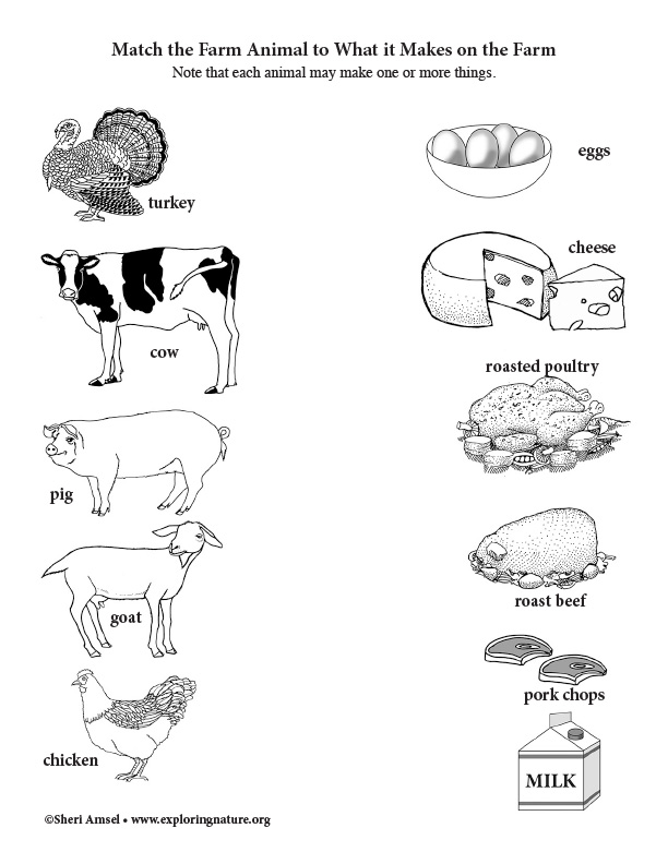 What Does the Farm Animal Make on the Farm? Matching