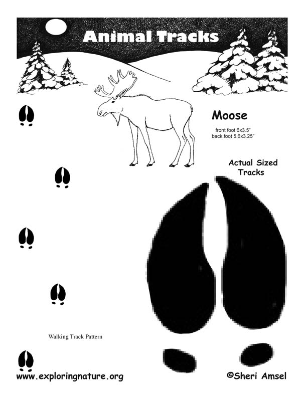 Moose Tracks Zipper Pouch - Moose Tracks