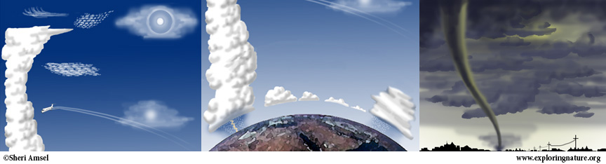 Grade 3 - 3-ESS3 Earth and Human Activity