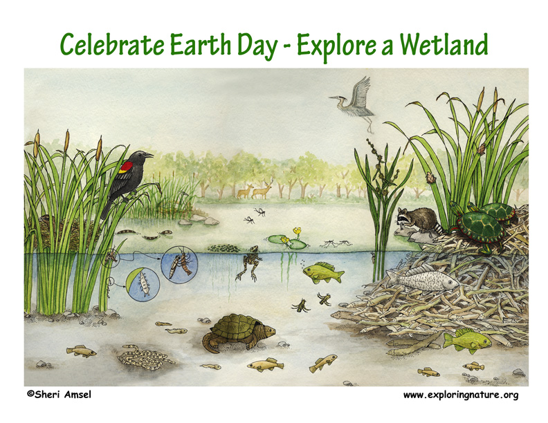 Earth Day Poster