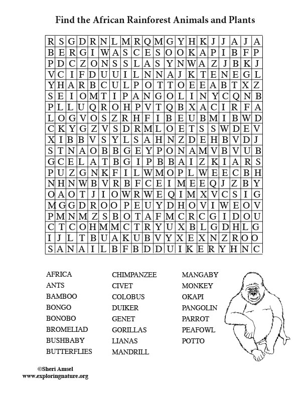 african rainforest word search adult