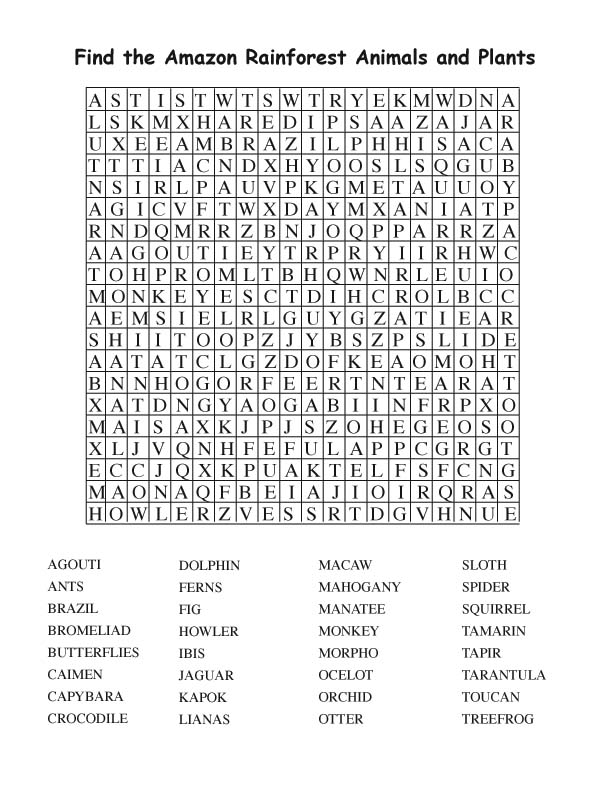 amazon rainforest word search adult