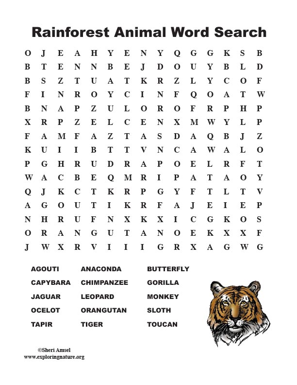 Rainforest Animal Word Search (Middle)