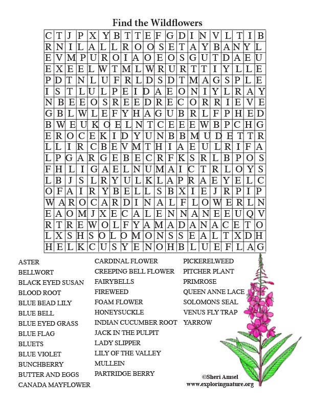 wildflower-word-search-older-readers