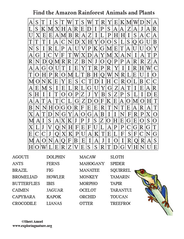 amazon rainforest word search adult